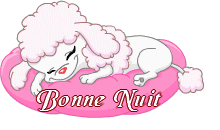 bonne nuit caniche